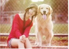 如何更好的和汪星人相處？