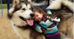 <b>這幾種表現證明狗狗真的很愛你！</b>