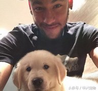 世界杯來了！讓我們扒一扒這些超級巨星們都在