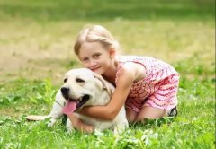 養狗一陣子，狗記一輩子