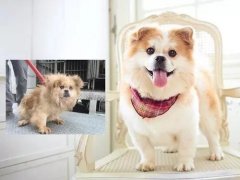 沒有誰，天生丑陋。