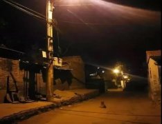 記憶中的老街巷口，有沒有一條等你回家的狗？