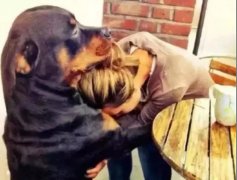 關于狗子，你不知道的秘密