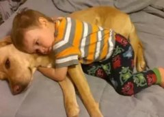 養狗千日，用在一時。。。。。