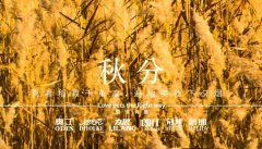 秋分丨晝夜分畫，漸入秋華