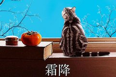 霜降丨縱然霜華盡染，心中美好如初