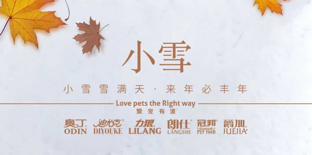 小雪丨天地初寒，歲月安暖